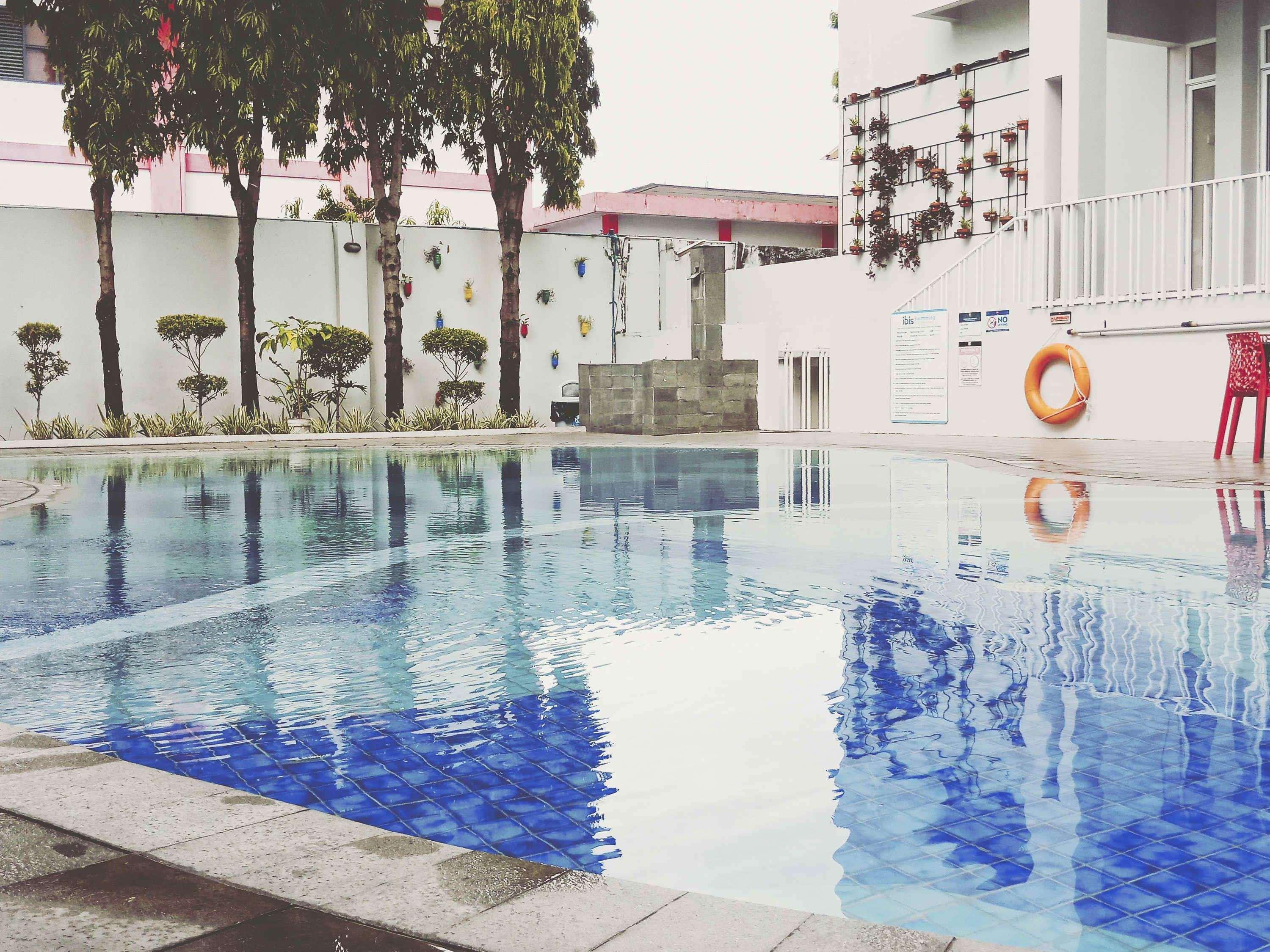Ibis Padang (Sumatra)